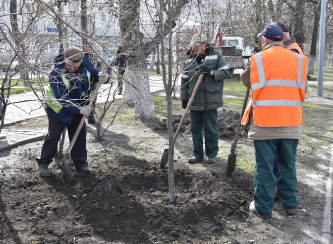 В Ульяновске этой весной высадили более двух тысяч деревьев и кустарников