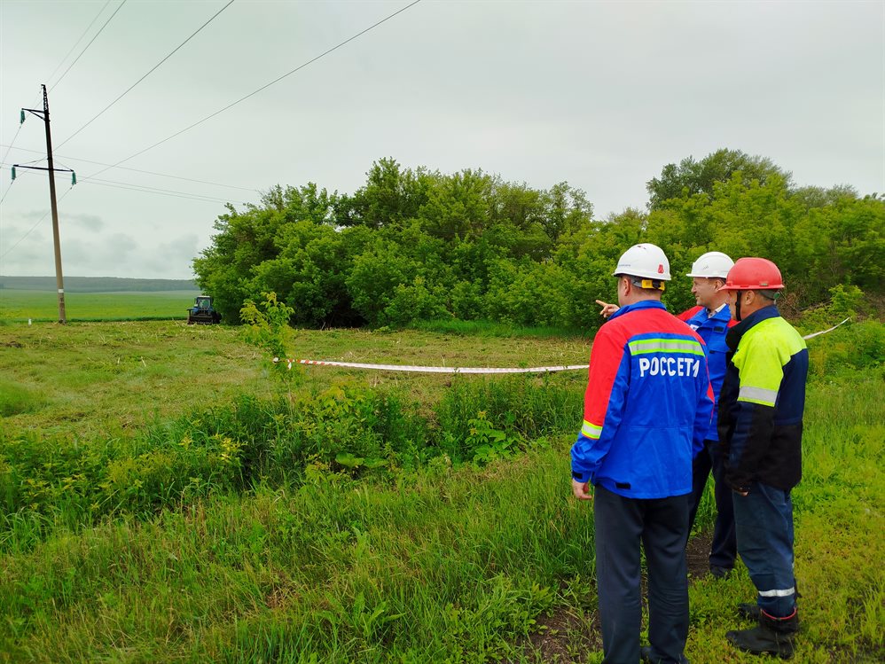 Энергетики филиала «Ульяновские РС» проводят расчистку трасс линий электропередачи