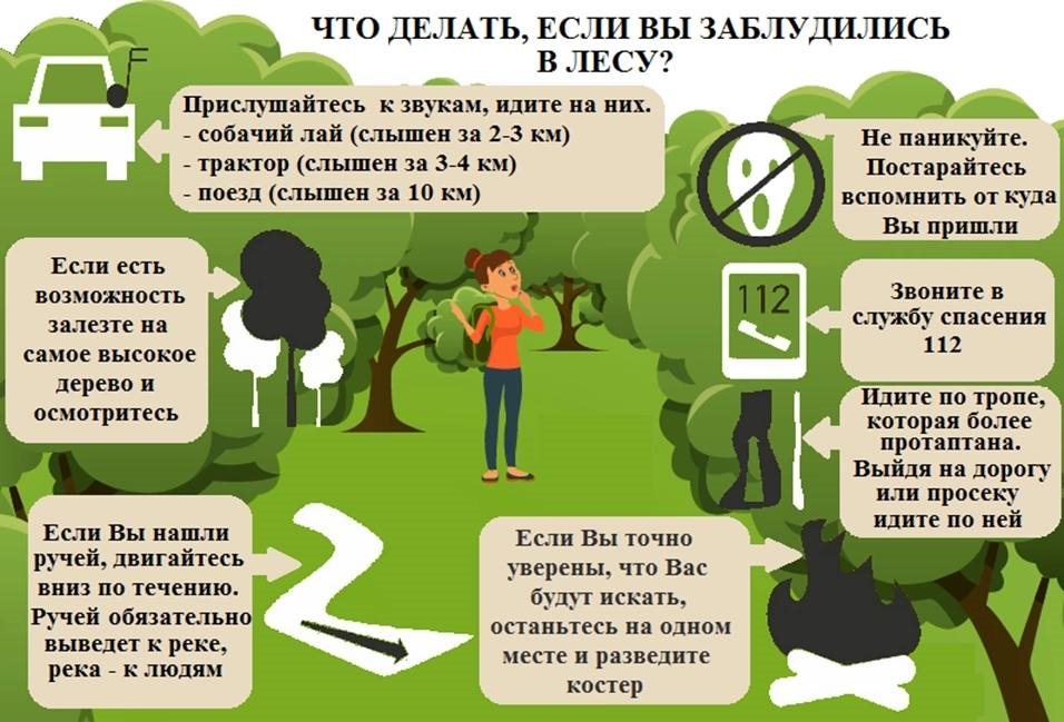 Ульяновцам напомнили об опасностях прогулок по лесу