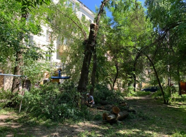 Во дворе дома по улице Гончарова начали спиливать деревья