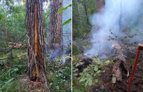 В Ульяновской области из-за грозы возникли два лесных пожара