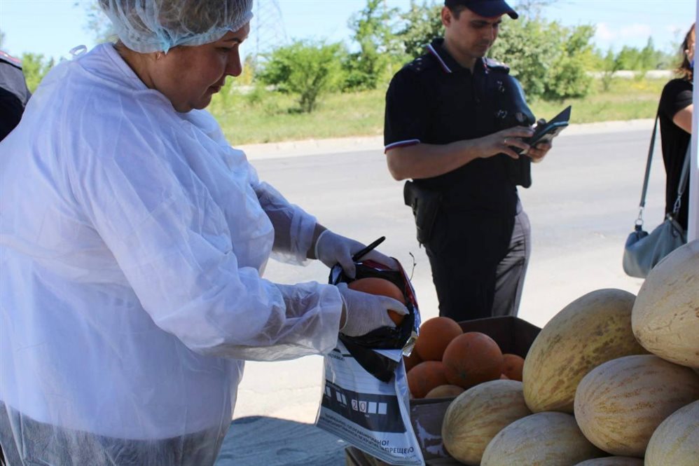 В торговых точках Заволжья арбузы и дыни проверили на наличие вредных веществ