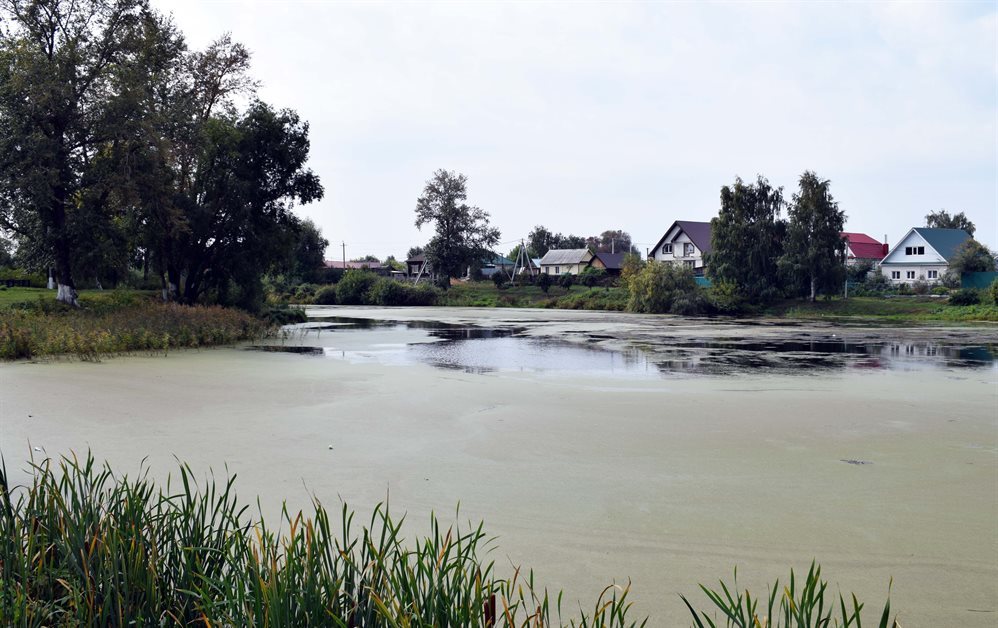 Озеро Попово оздоровят в Ульяновской области