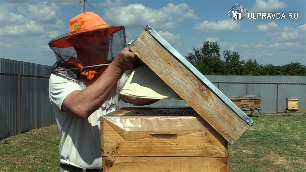Взвешивать ульи при помощи смартфона. Пчеловод из Новоспасского района изобрёл полезный гаджет