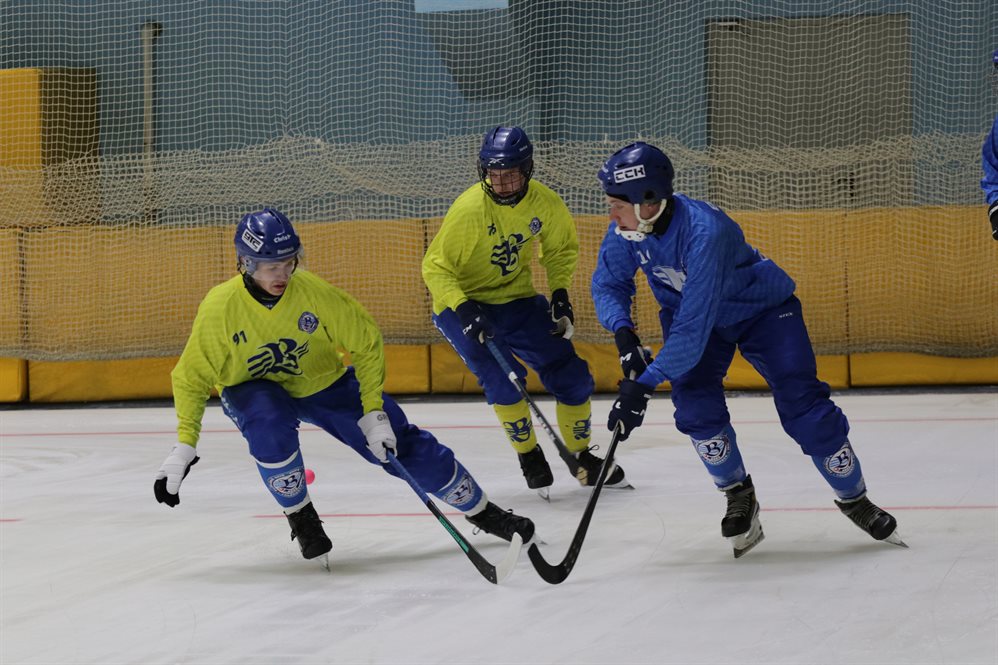 Ульяновская хоккейная «Волга» вышла на домашний лед