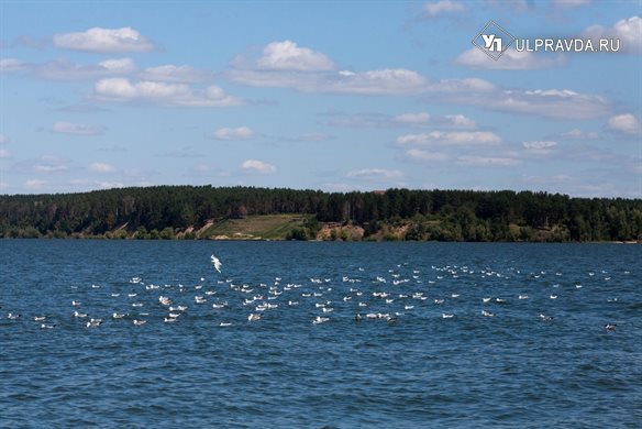 Небольшой дождь и жаркую погоду пообещали ульяновцам