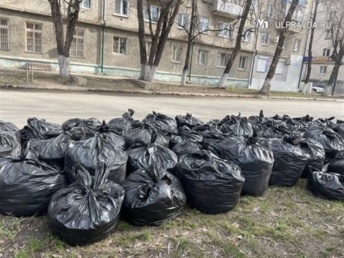 В посёлке Радищево ликвидировали незаконную свалку