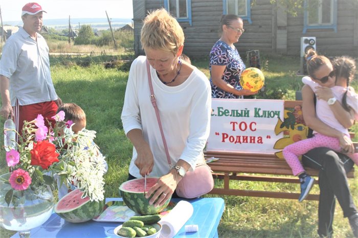 Поселок белый ключ. ТОС. Белый ключ Ульяновская область.