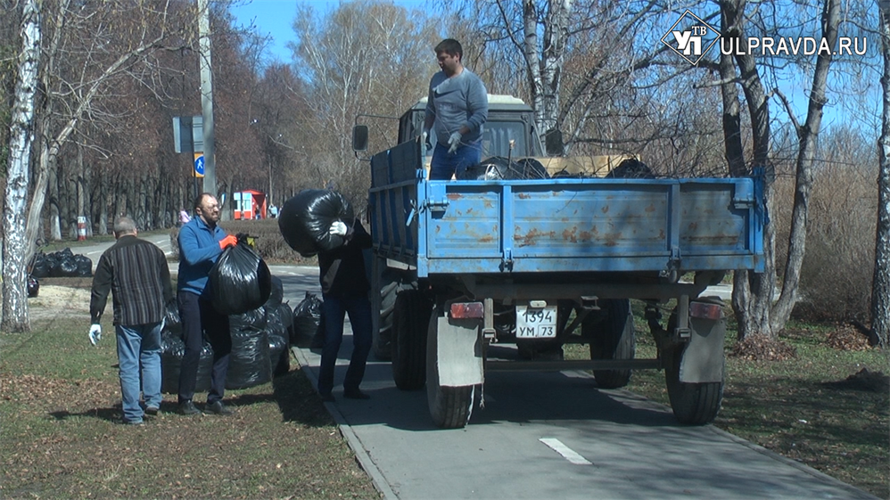 Скамейку поставили под старыми вязами