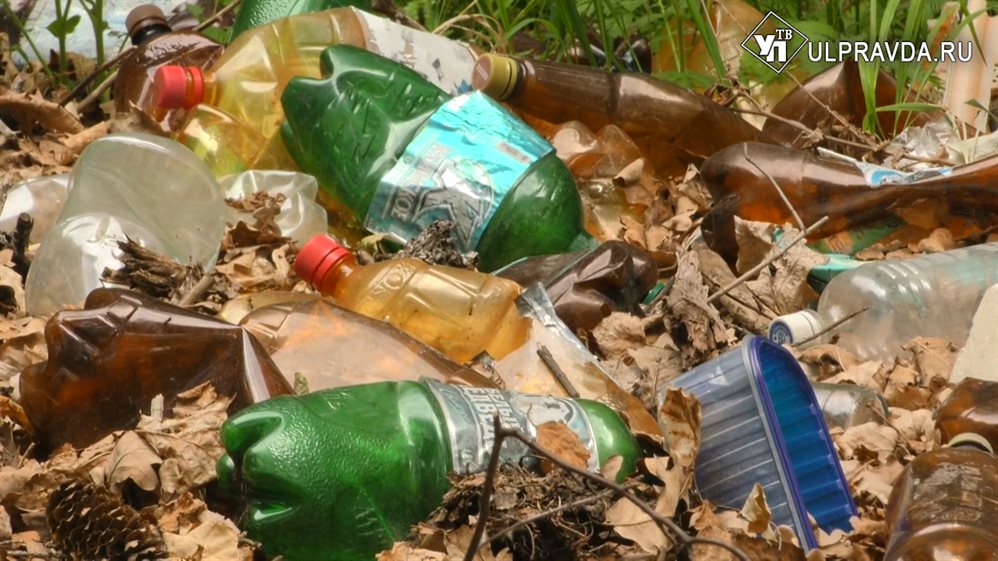 В районе мусорке. Экологические проблемы в Сенгилее.