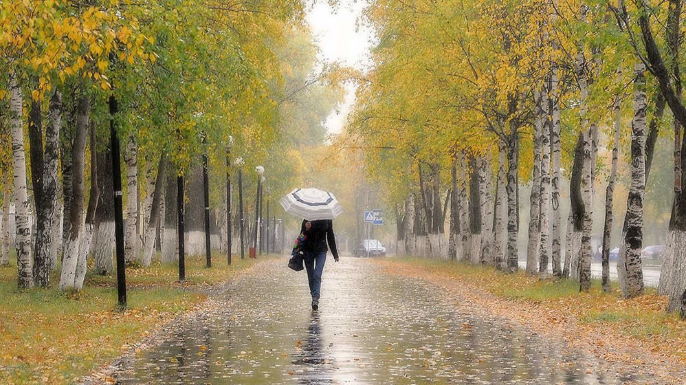 В Ульяновской области ожидается небольшой дождь и ветер