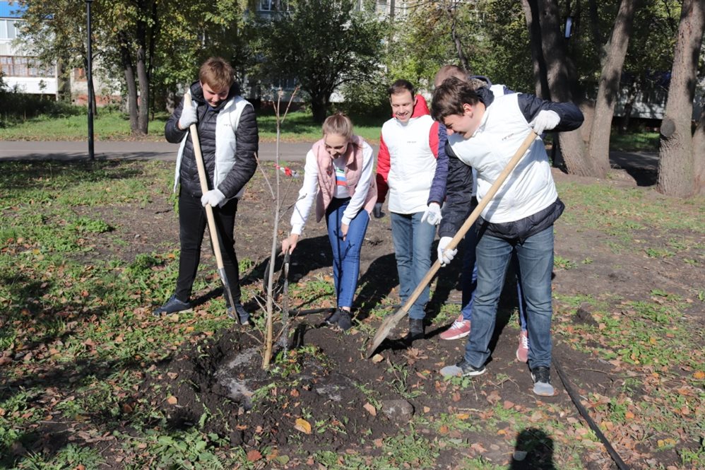 Каштаны – на экспланаду, Хрустальной – ясени. В Ульяновске высадят более семи тысяч деревьев и кустарников