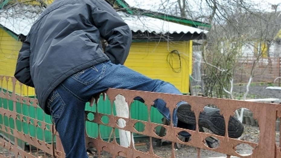 В садоводческих товариществах Киндяковки за сезон задержали 12 преступников