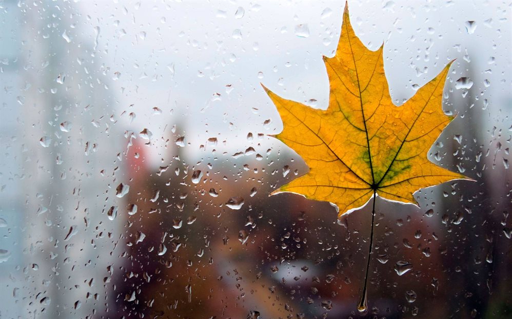 Дождь и пасмурно. Погода в Ульяновской области на 22 октября