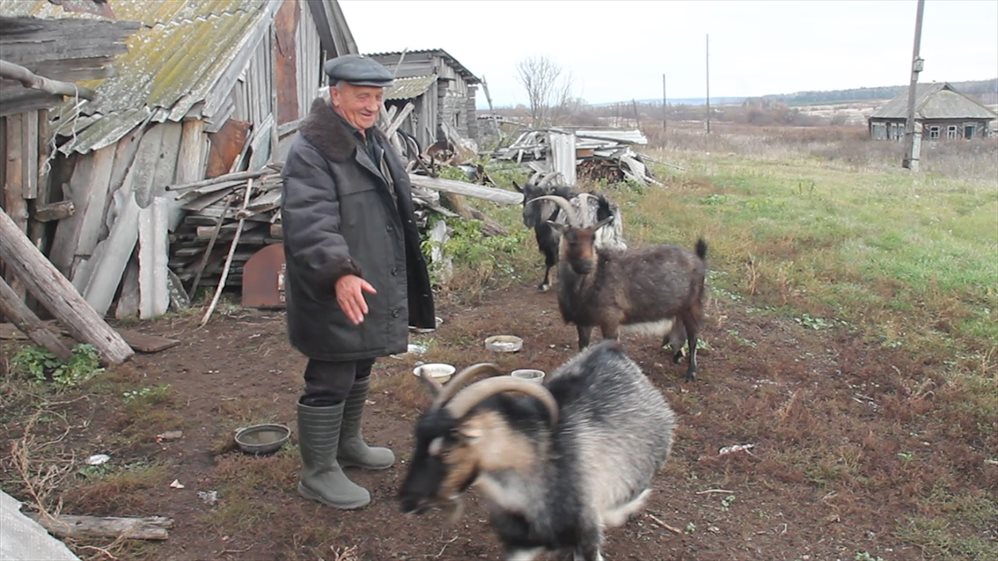 Двое из Мамырова. Последние жители ульяновского села ловят связь на бане и спасают кур от лис