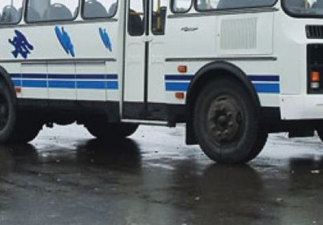 В Димитровграде на пешеходном переходе сбили женщину