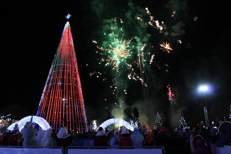 На главной площади Ульяновска открыли новогоднюю ёлку
