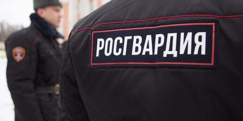 Ульяновские росгвардейцы задержали подозреваемого в хищение сотового телефона
