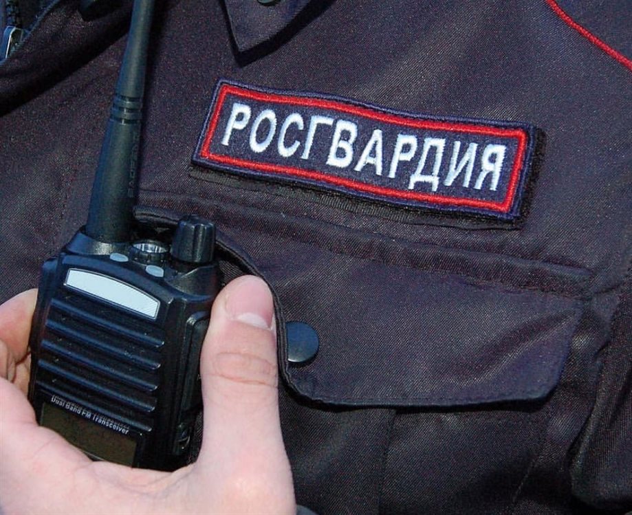 В Ульяновске росгвардейцы задержали подозреваемую в краже товара