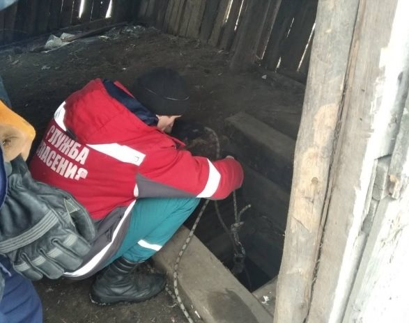 Очередная спасённая жизнь. Ульяновские спасатели достали собаку из погреба