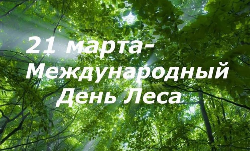 Сегодня в Ульяновской области отметят Международный день лесов