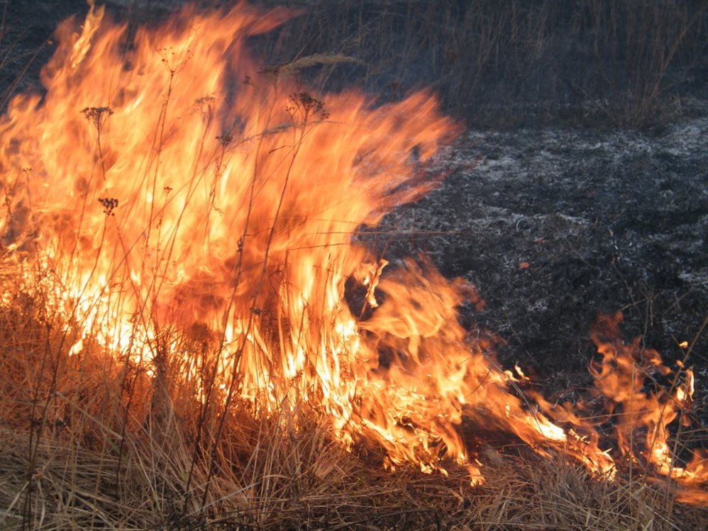 Случаи возгорания сухой травы участились в Ульяновске