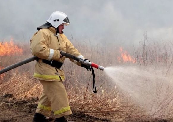 Ульяновские пожарные за сутки семь раз выезжали на тушение сухой травы