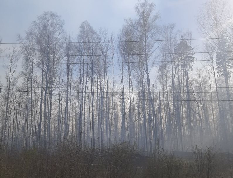 В Инзенском районе горящий лес тушат с помощью поезда и вертолётов