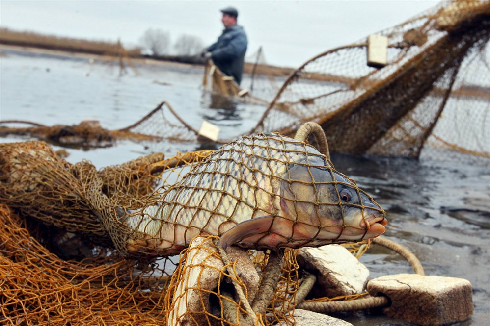 В Ульяновской области поймали двух браконьеров