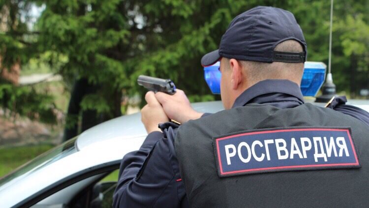 В Ульяновске росгвардейцы пресекли незаконное завладение автомобилем