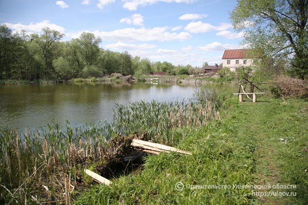 В селе Солдатская Ташла благоустроят местный пруд