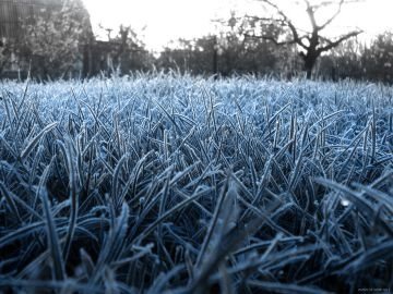 Завтра в Ульяновской области ожидаются заморозки до - 2 градусов