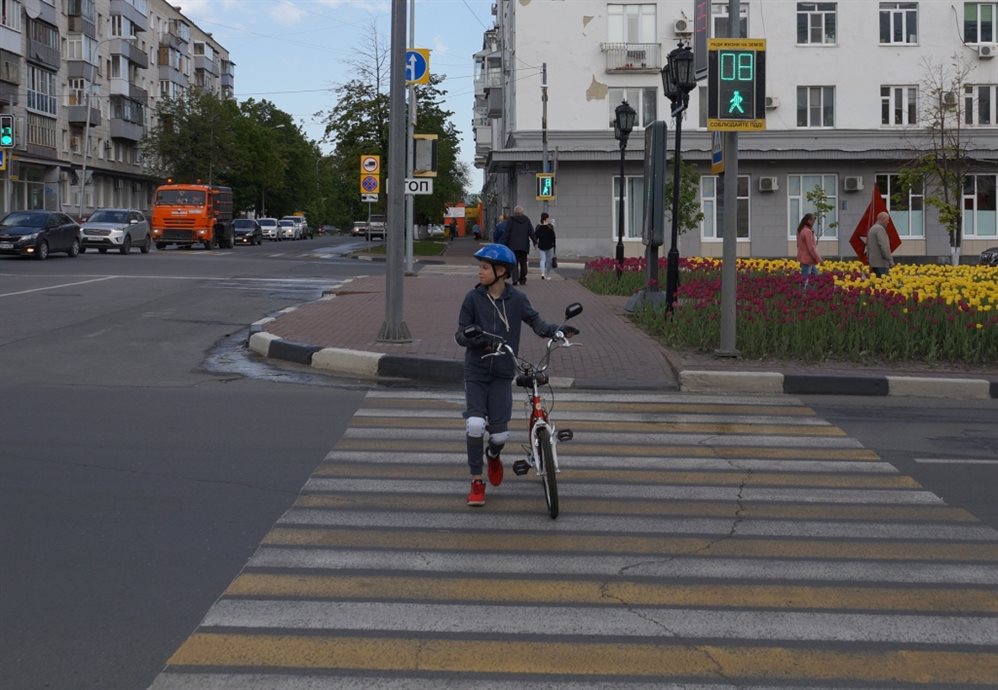 Пдд велосипед пешеходный переход. Пешеход с велосипедом. Велосипед на переходе. Велосипедист на пешеходном переходе. Велосипедист на зебре.