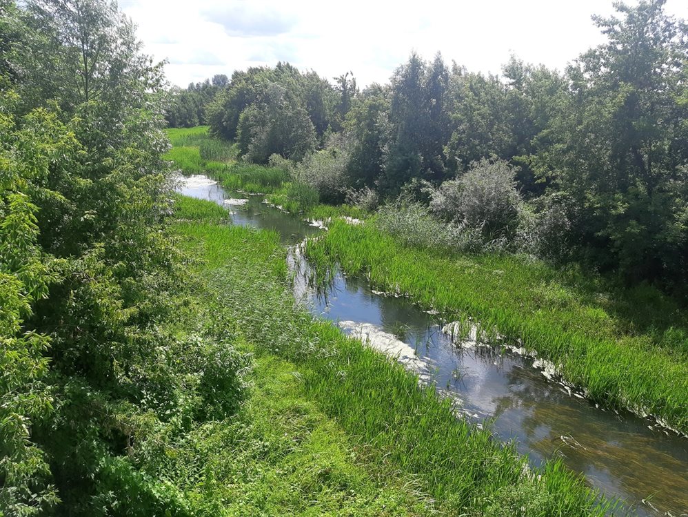 Русла рек расчищают в Ульяновской области