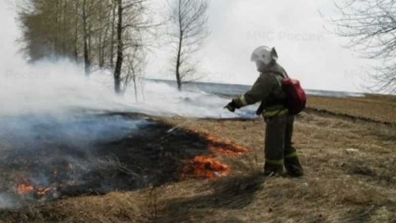 Ульяновские спасатели за сутки четыре раза выезжали на тушение сухой травы