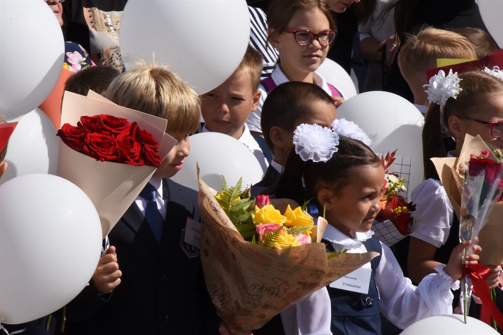 102 лицей ульяновск карта