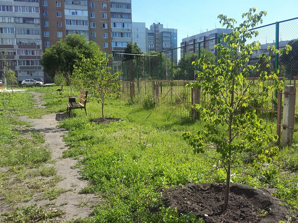 ТСЖ и ЖСК Ульяновска начали получать субсидии на озеленение дворов