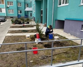Ульяновцы озеленяют свои дворы за счёт сдачи вторсырья