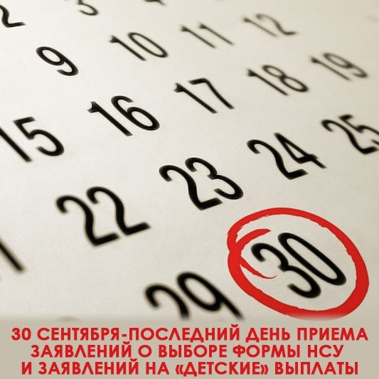 Ульяновцев просят поспешить с заявлениями в Пенсионный фонд России