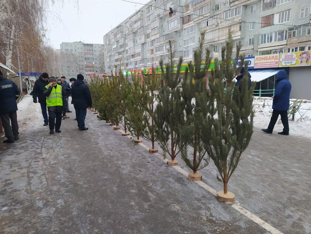 В Ульяновске на продавцов ёлок составили 17 протоколов