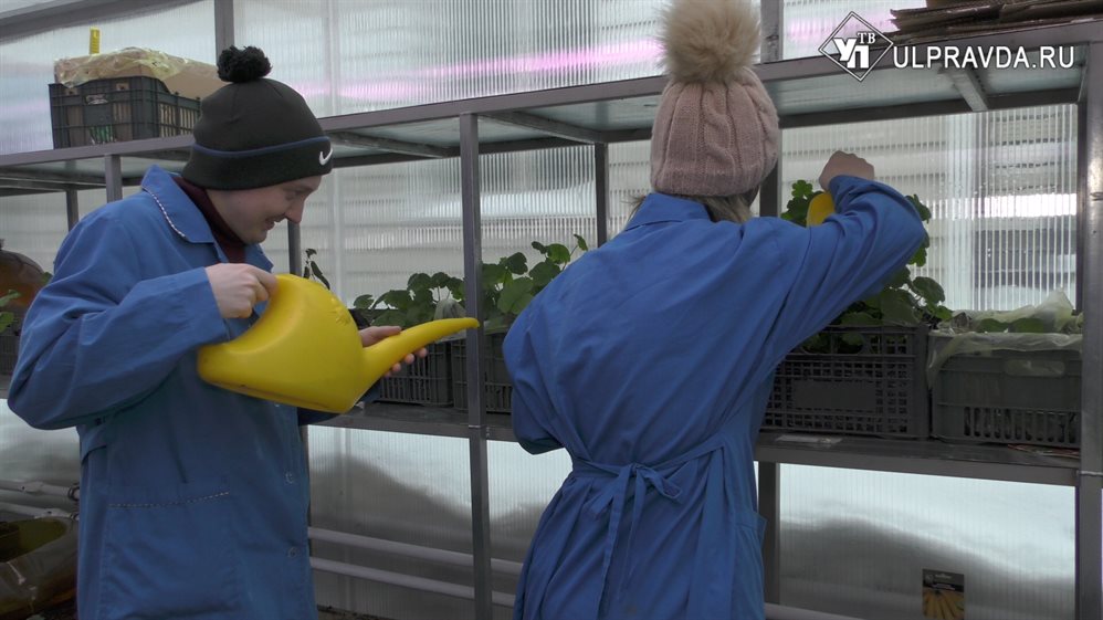 В Ульяновске ментальную молодежь научат самостоятельно ухаживать за цветами и выращивать овощи