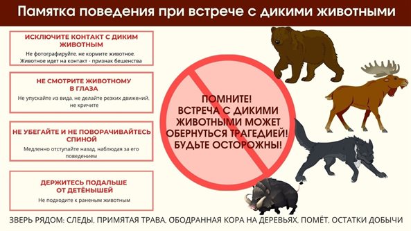 Что делать, если вас раздражают медленные люди: точный ответ психолога