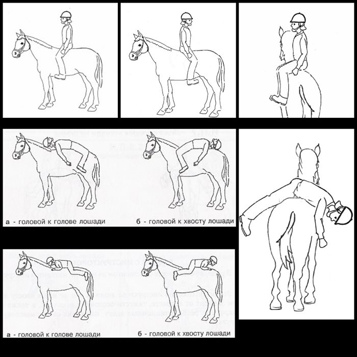 Кона процесс. Иппотерапия упражнения. Упражнения по иппотерапии для детей. Упражнения на лошади. Иппотерапия комплекс упражнений.