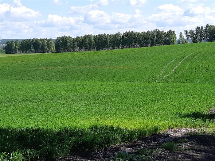 Купить Участок В Поле В Коротать