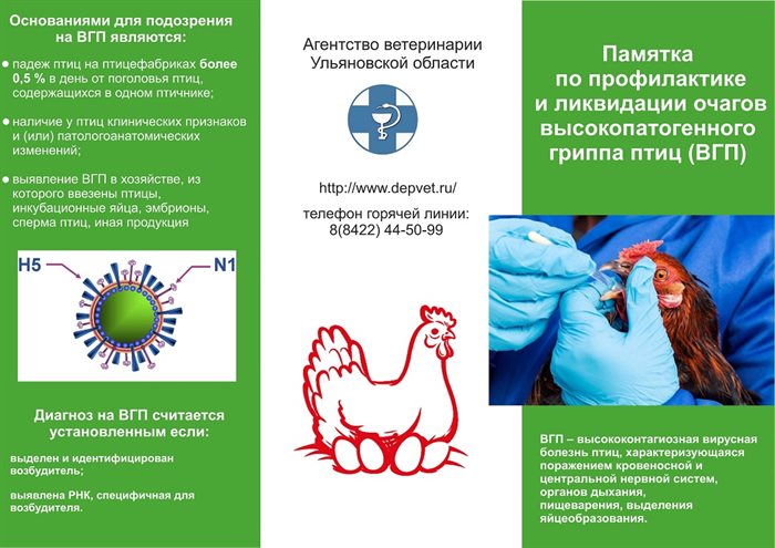 Исследование: COVID-19 влияет на качество спермы, но не может передаваться через нее